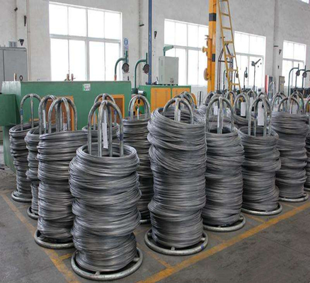 EN10147 / EN10142 / DIN 17162 / JIS G3302 Steel Wire Rod With Standard Sea Package